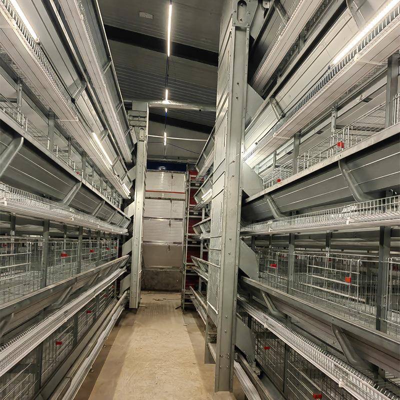 大层叠设蛋鸡备加密粗自动蛋化养殖笼PLH具新型加热镀锌鸡笼