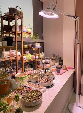 多肉补光植物灯防徒长促色灯仿太风阳光落地式生长上QOC室内绿植