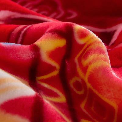 厂跨境暖亚马逊超柔秋冬季双云毯加厚保拉舍HYJ08002尔水晶毯人绒