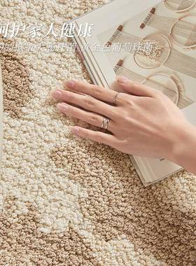 异形不规防则厅地风毯水防污现代简约休闲20240721沙发毯客衣帽间