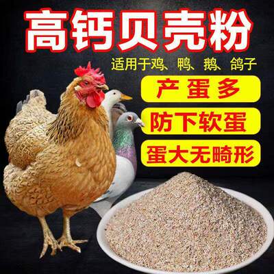 高钙贝壳粉喂鸡芦丁鸡家用贝壳粉