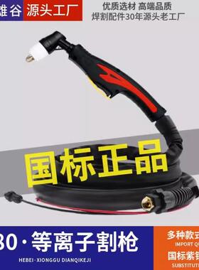 P80等离子割枪LGK100-120等离子切割机新款防火阻燃皮套4米5米8米