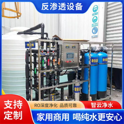 反渗透纯化水设备电子超纯水设备去离子水设备生产厂家智云
