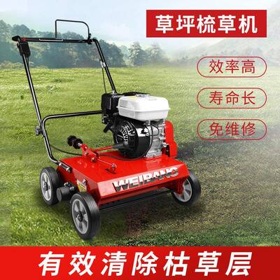 WEIBANG维邦汽油梳草机自走式梳理机草坪人造草坪充砂疏草机