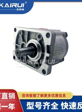 齿轮液压油泵总成CBT-F310CBN-F304/F306/F316/E314/320/325FER2