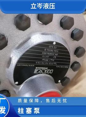 德国 HAWE/哈威 SCP064R-N-DL4-L35-S0S-000 柱塞泵