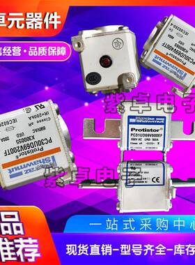 法国罗熔断器FR2WTC2GC369V663A兰690V