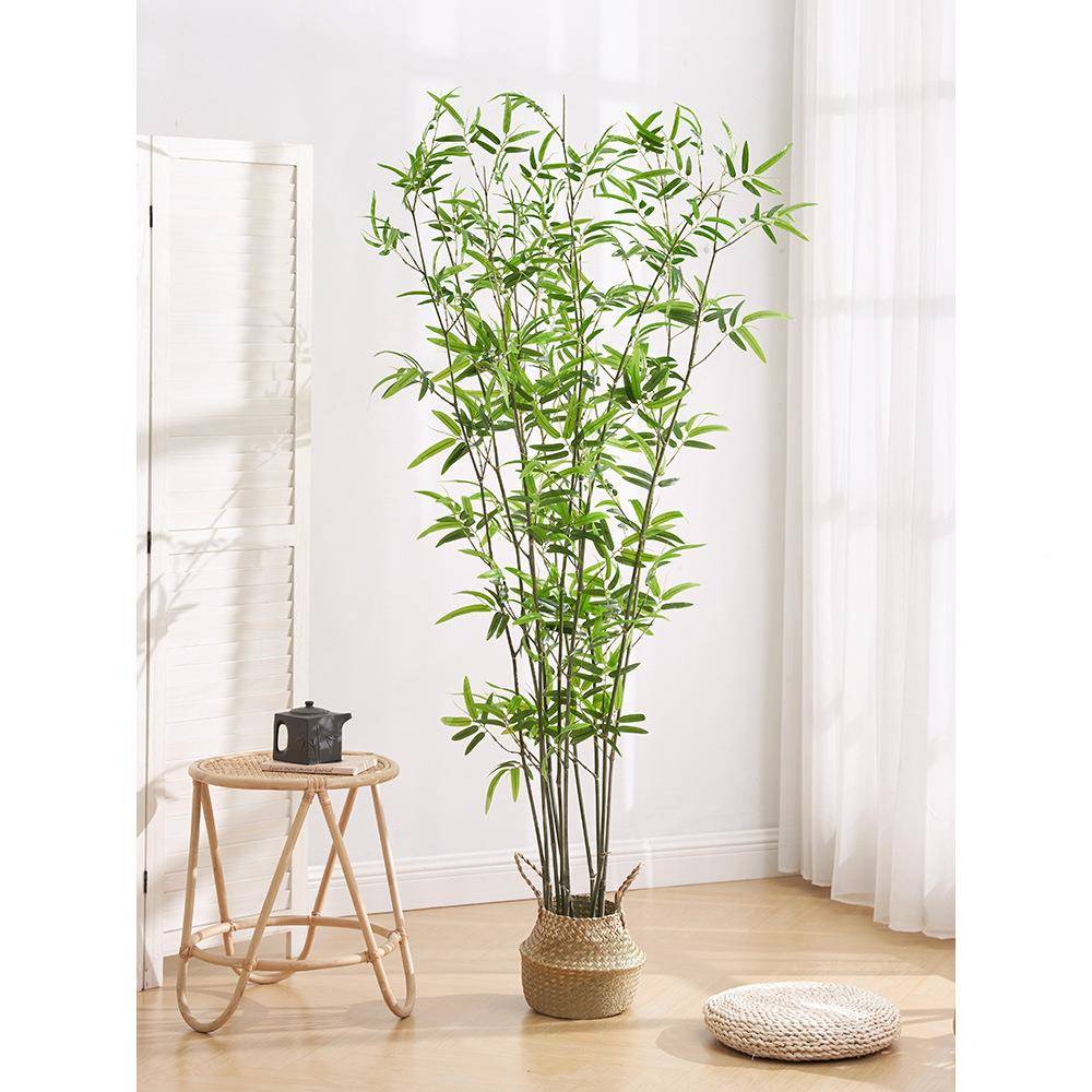 竹子室LBH内装饰隔断风挡墙密假盆竹子造景室外屏装饰竹栽加绿植