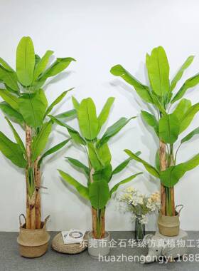 仿真树芭树香蕉假绿植家蕉居室内落地大型饰摆件仿89825真绿装植