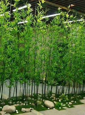 客厅细绿植保人造仿真竹饰假竹子高环水竹65698酒店公司隔断屏装