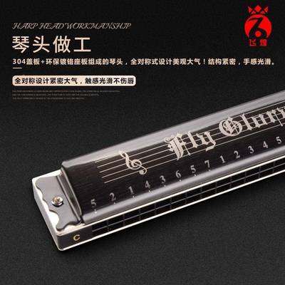 德国口飞煌/24孔1复音口琴A/B/CD/E/FWOM/G/A#/C进#/D#/F#/G#2调