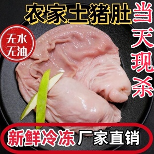 【当天现杀 非冷冻】猪肚新鲜生猪肚免清洗猪胃猪大肚冰鲜黑猪肚