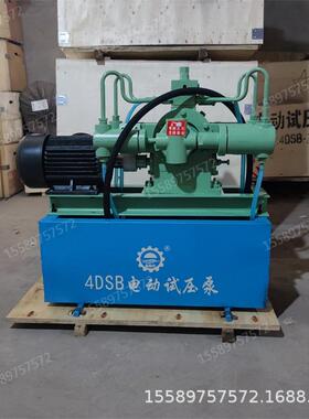 管道水压测试压力泵4DSB系列电动试压泵打压测漏仪