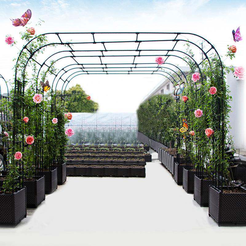 花架爬藤本架鲜花欧式铁线莲攀藤攀爬藤支柱月季拱门架子蔷薇花架