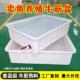 料水箱加厚水方产养殖牛537筋长养形浅盆塑卖鱼鱼养龟方桶大容量
