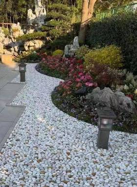鹅卵石24043002花石原石石子鹅软雨庭院装饰园小艺五彩石石头