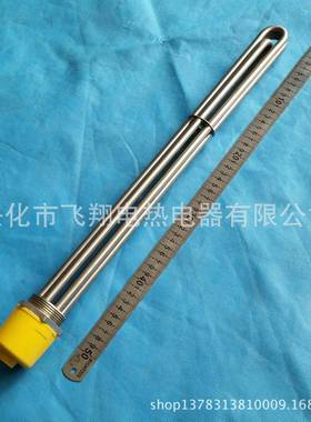 304不锈钢导热油加热管电锅炉加热棒水箱发热管DN40DN50