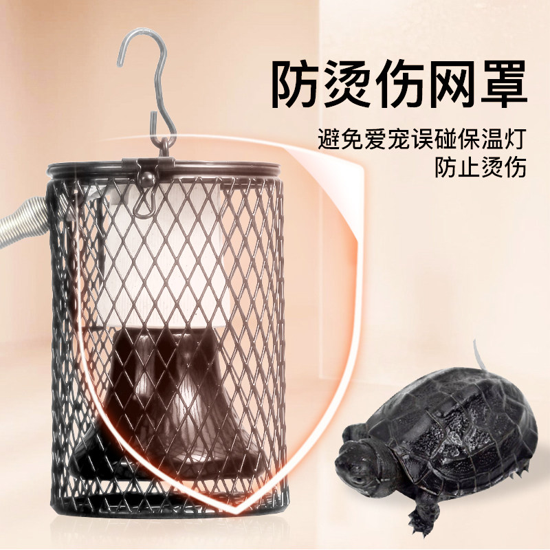 陆龟蜥蜴爬虫箱陶瓷加热灯陶瓷保温灯宠物刺猬饲养箱鹦鹉用品爬宠,宠物/宠物食品及用品,爬宠缸/箱,淘宝优惠券,粉丝福利购,淘宝优惠卷