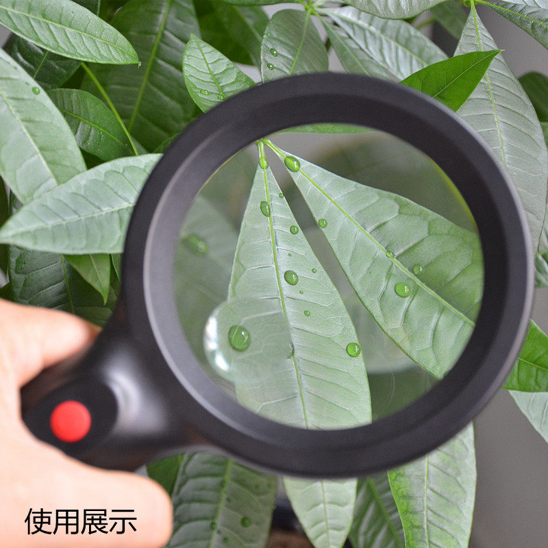 放大镜手持式带灯OK98便携口袋读书看报地图珠宝字画环形灯光照明图片