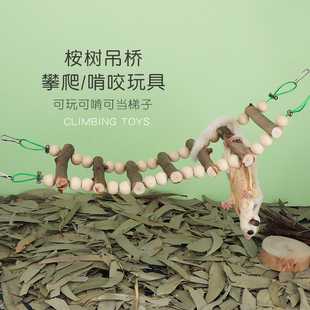 蜜袋鼯桉树枝除臭垫料磨牙零食桉树蜜花粉跳台蜜袋鼬小蜜玩具吊桥