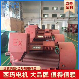 YB2高压防爆电机900KW6KV隔爆型高压空空冷却器压缩机用电机