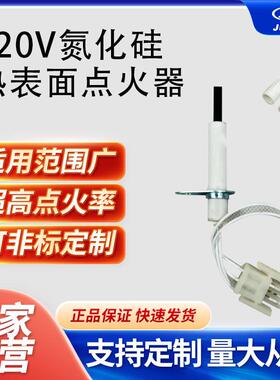 120v热面点火器0130F00008S炉点火器适用于古德曼炉热表面点