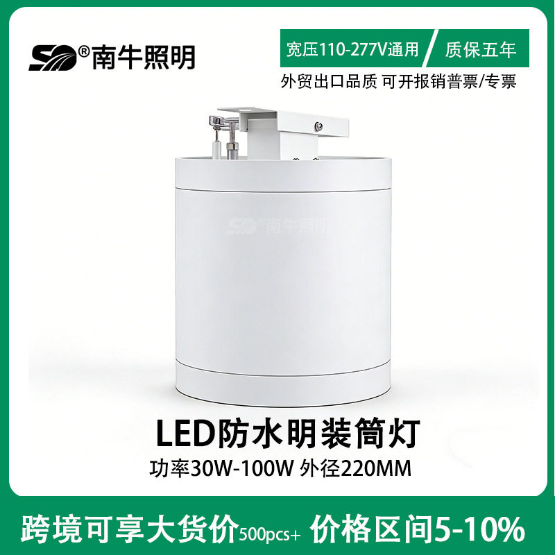 孔灯LED吸顶式防水天花灯100W80W60W60W酒店金属明装筒灯防眩光