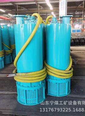 BQS700-10-55/N潜水泵660V1140V电泵矿用隔爆型潜排污排沙泵