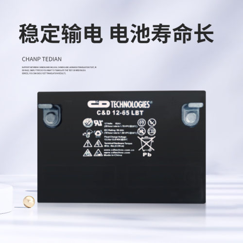 西恩迪C&D12-264065100LBT大力神蓄电池12V100AH铅酸免维