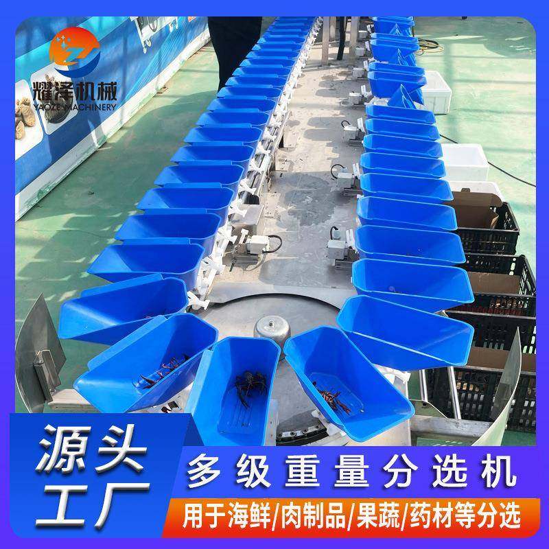 全自动量称分重选NMA机智能称重分选机大闸海蟹牡蛎鲍鱼参重分选,机械设备,其他机械设备,淘宝优惠券,粉丝福利购,淘宝优惠卷