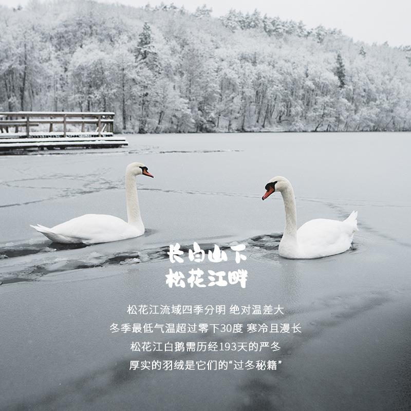 儿童0羽绒被学生级95鹅绒被幼儿园WFB白鹅被绒5A10鹅绒卡通宝宝