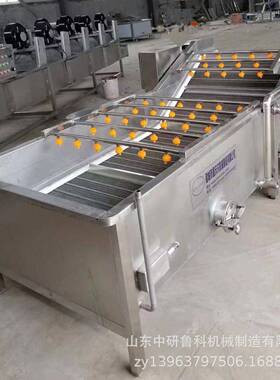 商洗用果机西红柿甘蓝高压机清洗EEV不锈钢全自动清洗流水线