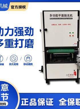 钢平面抛光机金砂光打属磨FBB不锈拉丝机全自动去小型除锈毛刺一