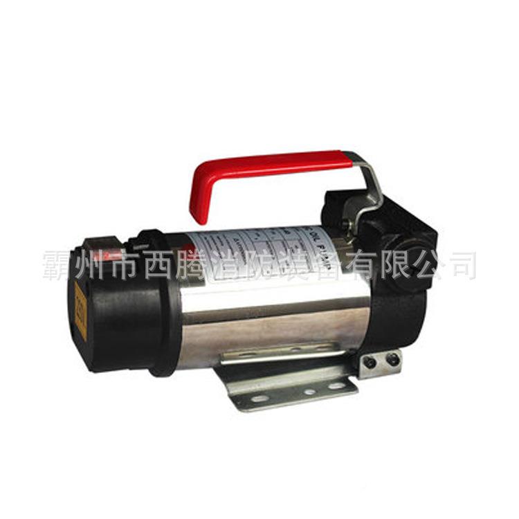 ACTPACTP4040微型电动泵泵2吸齿轮小型隔膜12V4V直自流车载抽水泵