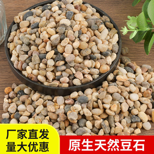 50斤天然鹅卵石溪流石鱼缸铺底造景砂水箱沼泽过滤小石子原生豆石