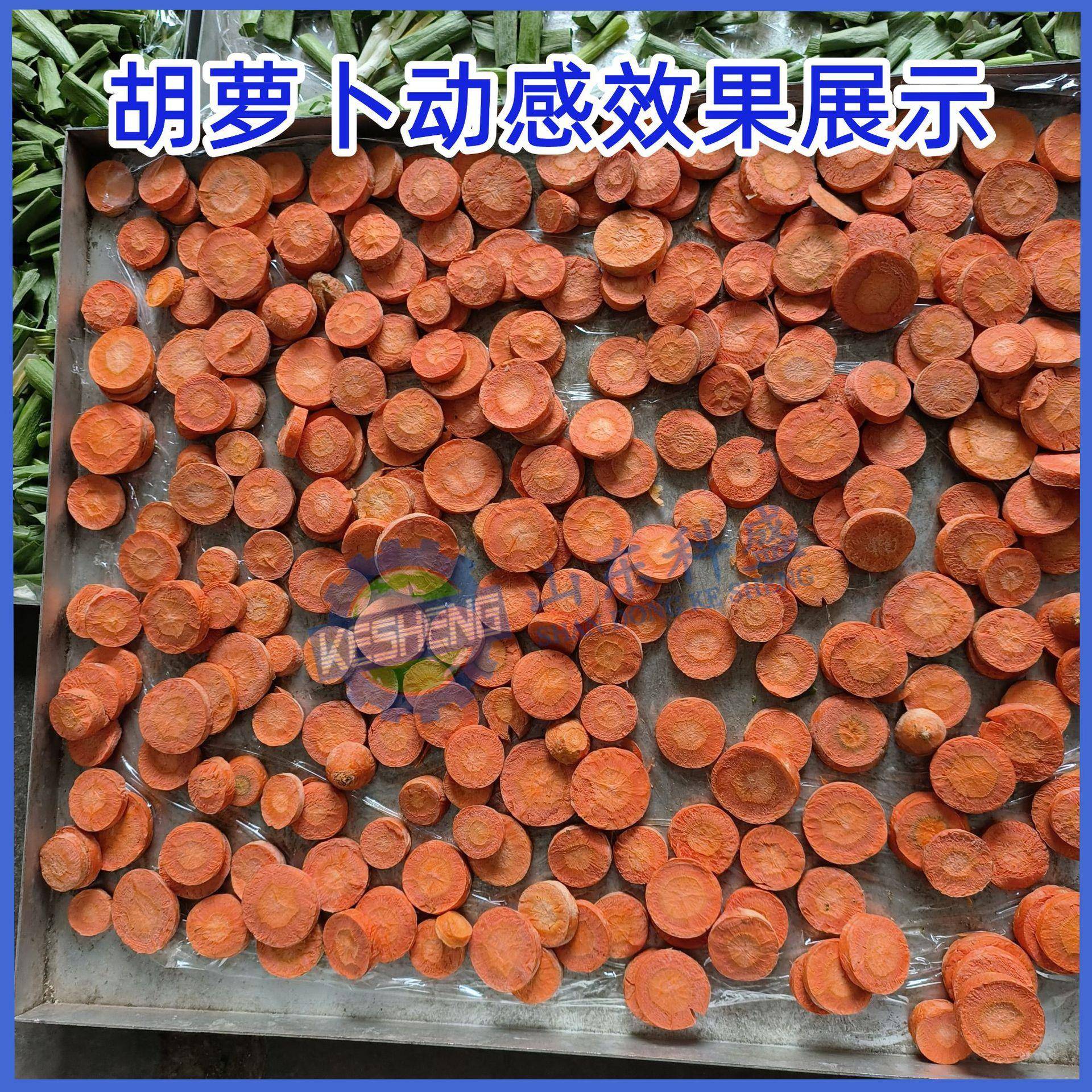 HDF真空冻真干机D低温空干冻干机花果茶冷冻燥F设备