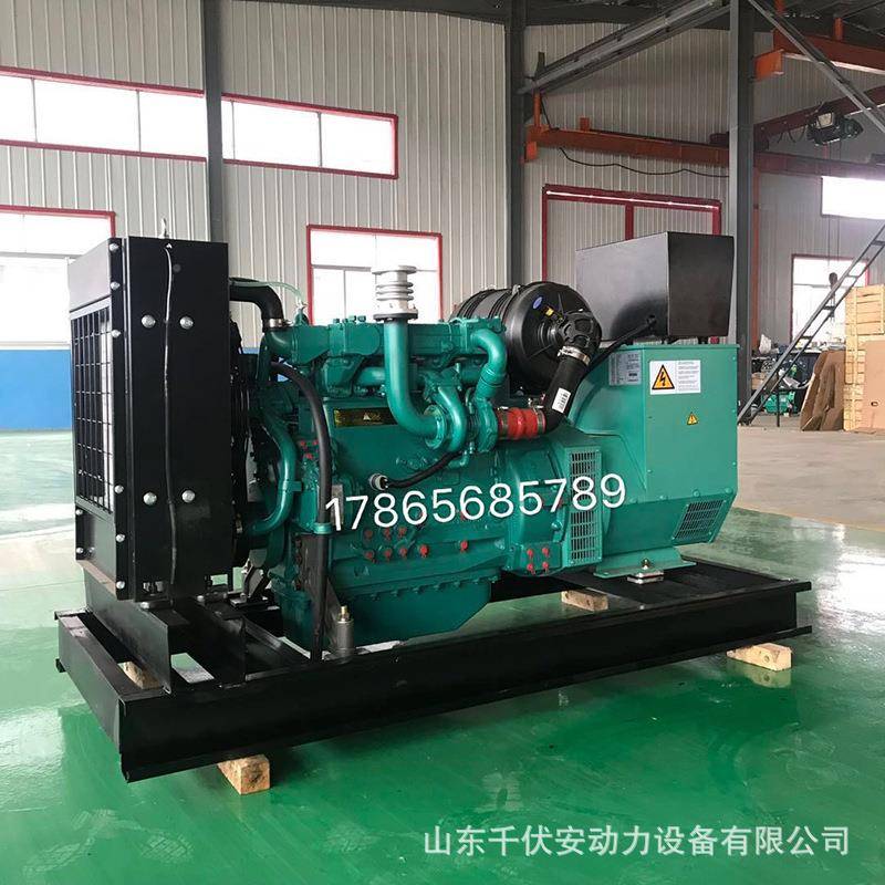 50kw发柴电机组潍柴道油QFA-200依茨5组0千瓦柴油发电机低耗油发