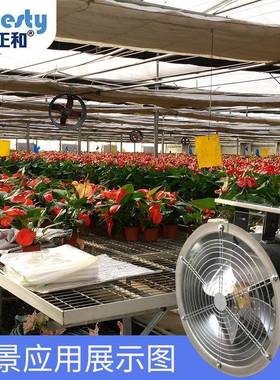 正和GGM500180环流风机屋顶工风机抽型风机厂排风扇通风w设备