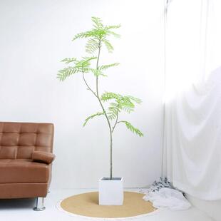 仿真蓝花楹中式假植物盆栽室内摆件仿真树客厅摆件轻奢仿真植物