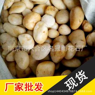 黄色鹅卵石南京天然雨花石抛光五彩石园林景观石水洗石造景铺路