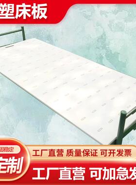 吹塑床板PP公寓床板PE床面板床板折叠床折叠式床板