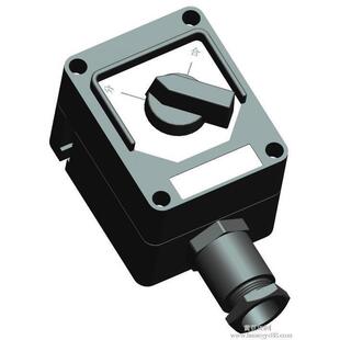 防爆防腐照明开关BZM8050ZXF8030BZK单极/双极双控FZM-10A