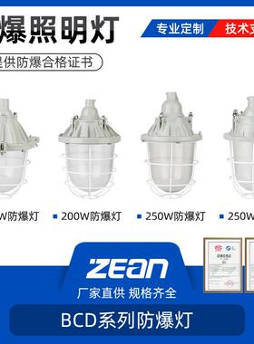 防爆灯隔爆铝合金灯壳体E27灯防爆节能灯100W125W200W防爆照明灯