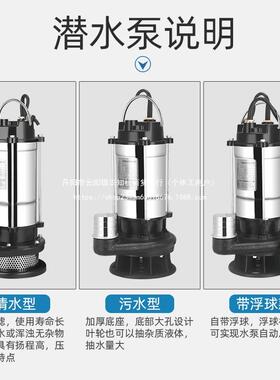 上海人用潜水泵22DOLv0抽水机家用不锈钢污水农化泵粪池排污泵清