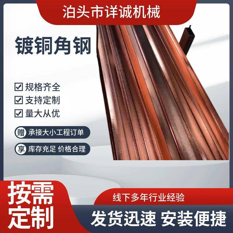 铜钢角铁铜覆垂直接地体镀铜角铁防接50*50*5地材料镀铜包钢角雷