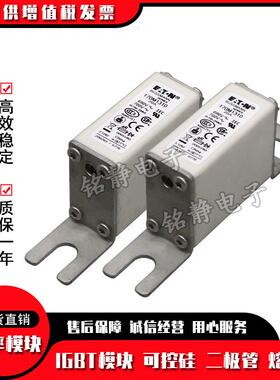 1707M2678YGI170267M9巴斯曼熔器170M268010M2断681