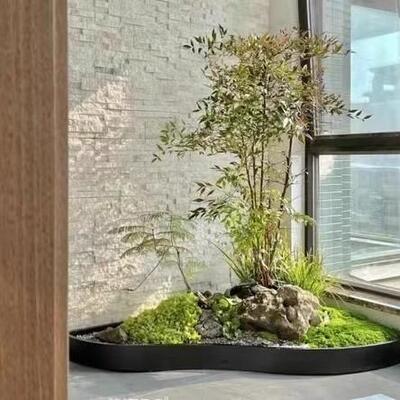 户不锈钢花箱定直销室内箱支HUN持直式销所有款尺花寸颜外色
