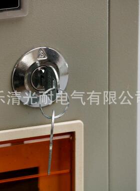 厂直销冷轧钢PZPZ4040单户箱明装户电子表箱家空开盒订单板做配电