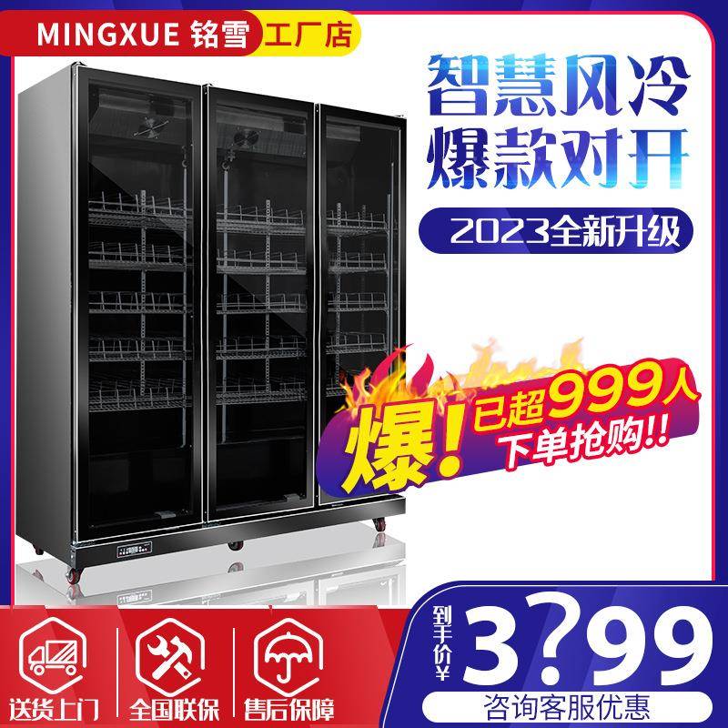 铭雪啤酒单门立式料柜柜双门冰柜铜管冷藏饮柜展示保鲜柜LC-1100F