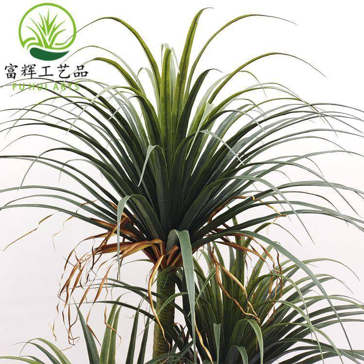 真绿植仿真龙血龙血树仿千年龙须树盆栽造景组景观木装饰道合具摆